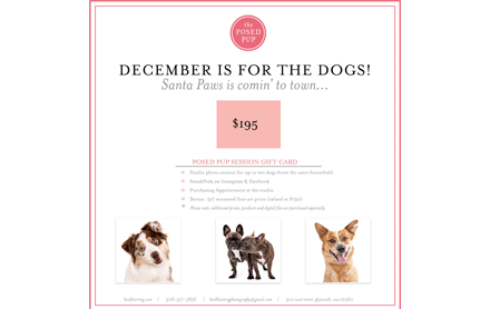 Heidi Harting Photography participating in our 2023 Small Business Shopping Guide.