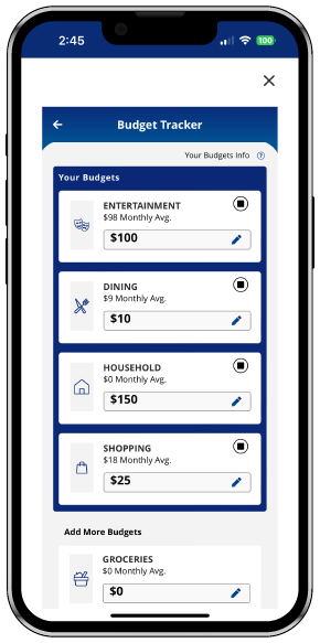 Mobile Phone with Rockland Trust Account Insights Budget Tool displayed